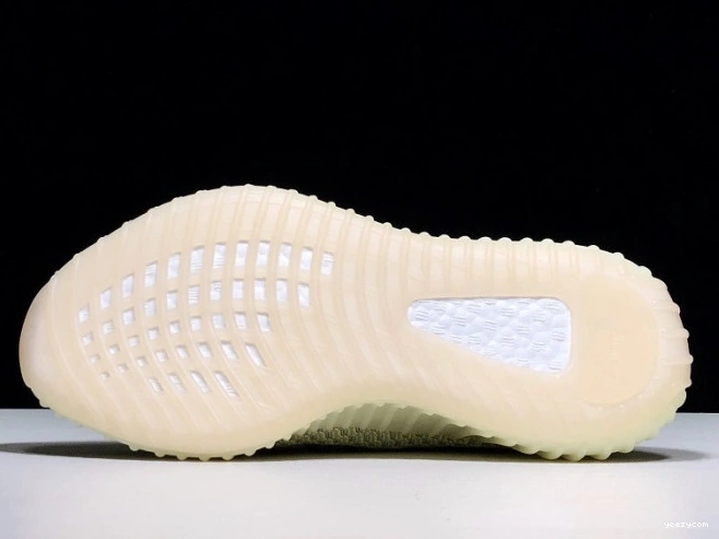 Adidas Yeezy 350 FV3250 V2 Boost Antlia 0729